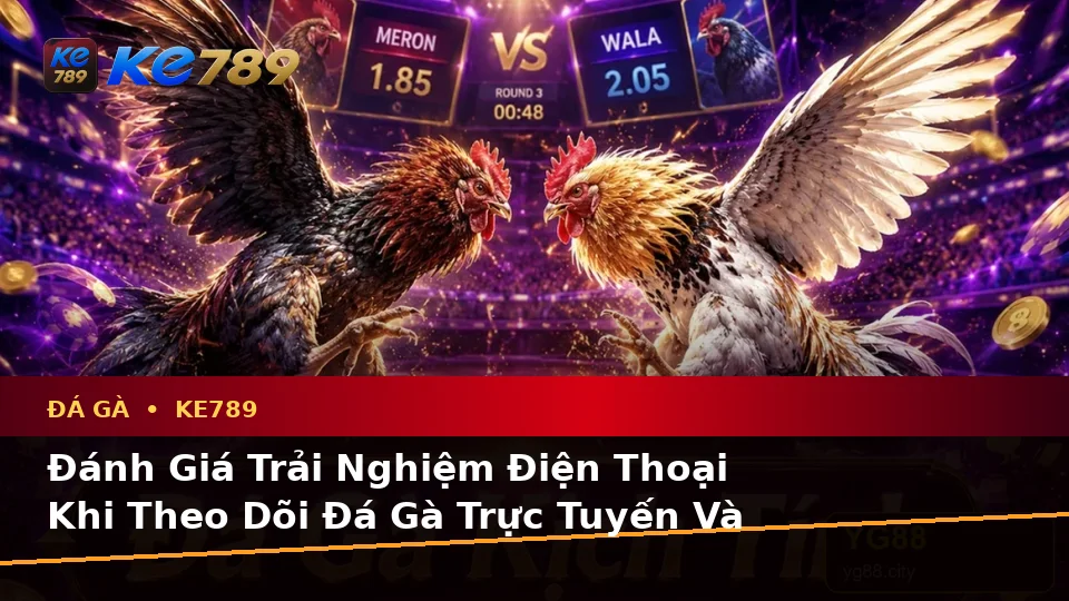 Đánh Giá Trải Nghiệm Điện Thoại Khi Theo Dõi Đá Gà Trực Tuyến Và Quản Lý Phiên Chơi KE789 Trên ke789pg.us.com
