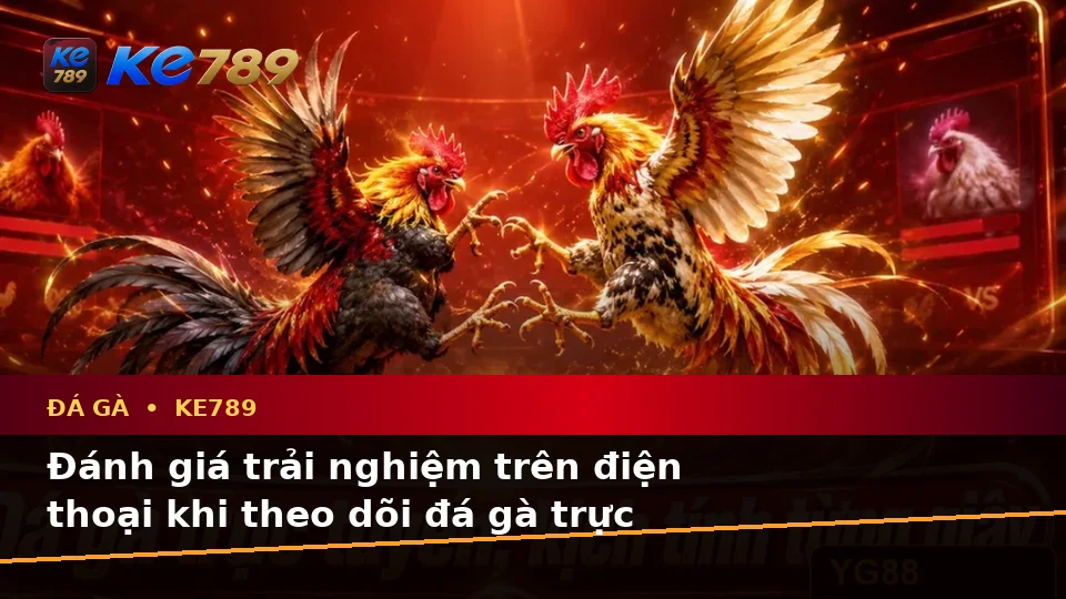 Đánh Giá Trải Nghiệm Điện Thoại Khi Theo Dõi Đá Gà Trực Tuyến Và Quản Lý Phiên Chơi KE789 Trên ke789pg.us.com