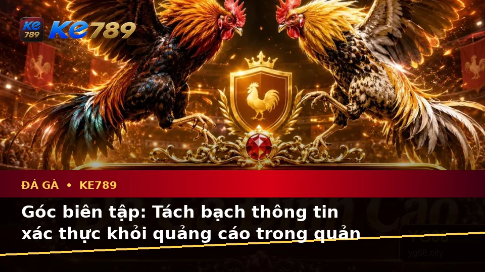 Phân Biệt Thông Tin Xác Thực, Quảng Cáo Và Kỳ Vọng Thực Tế Về Đá Gà KE789: Quản Lý Phiên Chơi Trên ke789pg.us.com