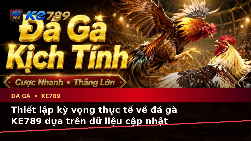 Phân Biệt Thông Tin Xác Thực, Quảng Cáo Và Kỳ Vọng Thực Tế Về Đá Gà KE789: Quản Lý Phiên Chơi Trên ke789pg.us.com