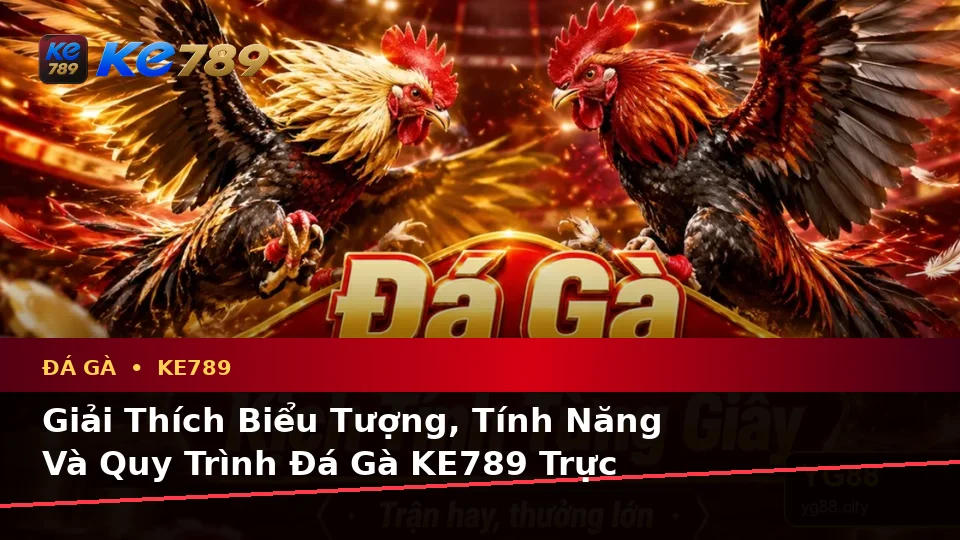 Giải Thích Biểu Tượng, Tính Năng Và Quy Trình Đá Gà KE789 Trực Tuyến Trên ke789pg.us.com