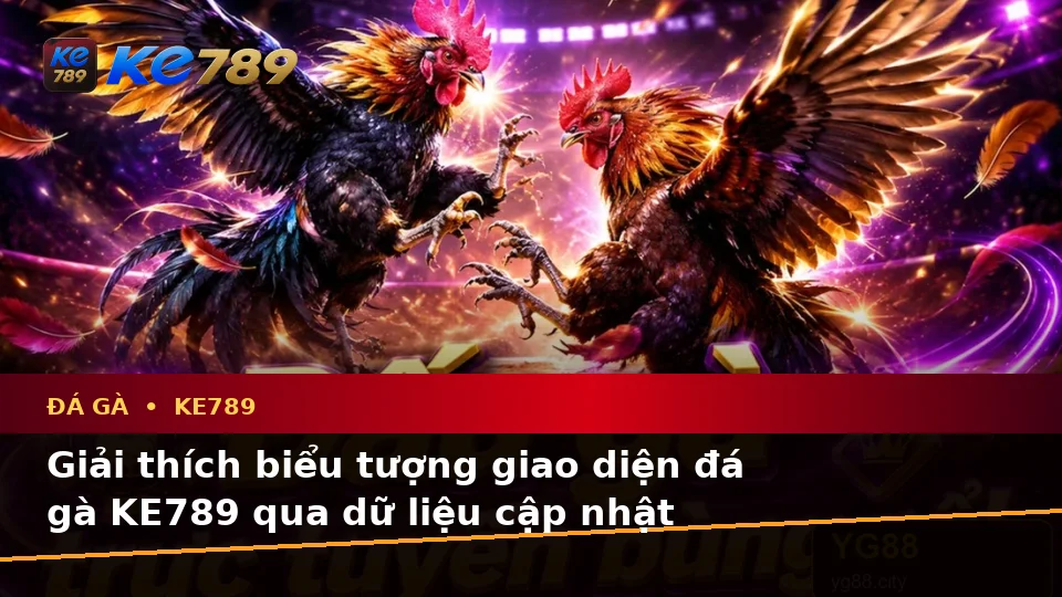 Giải Thích Biểu Tượng, Tính Năng Và Quy Trình Đá Gà KE789 Trực Tuyến Trên ke789pg.us.com