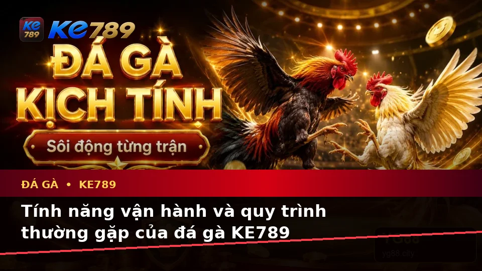 Giải Thích Biểu Tượng, Tính Năng Và Quy Trình Đá Gà KE789 Trực Tuyến Trên ke789pg.us.com