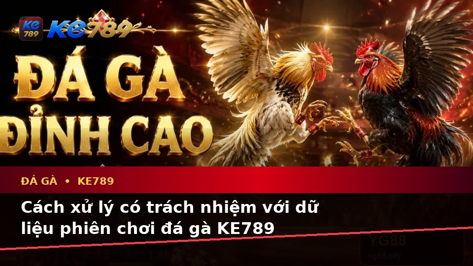 Đá Gà Trực Tuyến KE789 Và Quản Lý Phiên Chơi: Nhận Diện Lỗi Phổ Biến Qua Dữ Liệu Cập Nhật Tại ke789pg.us.com
