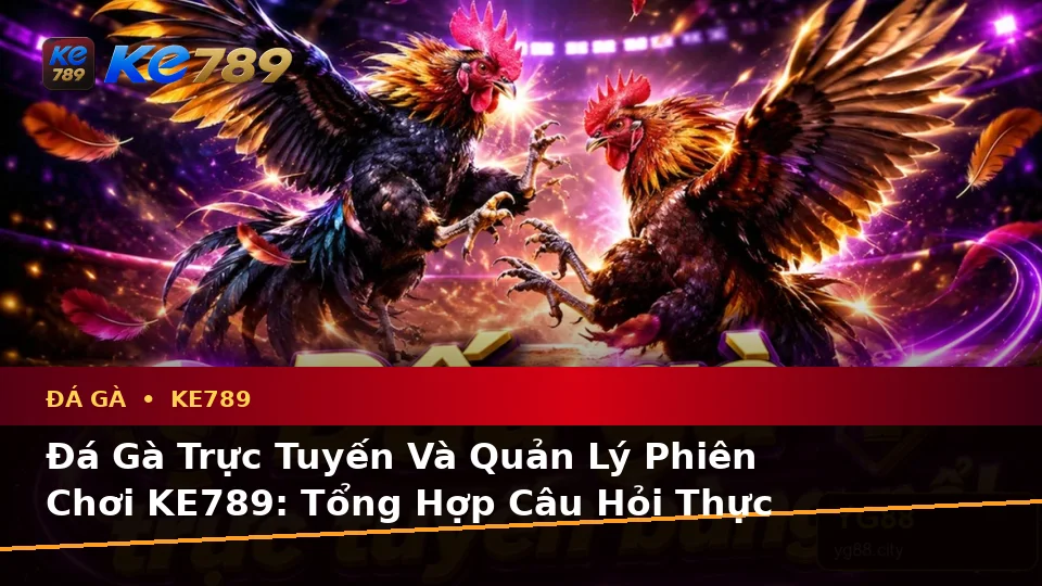 Đá Gà Trực Tuyến Và Quản Lý Phiên Chơi KE789: Tổng Hợp Câu Hỏi Thực Tế Của Người Dùng Trưởng Thành Trên ke789pg.us.com