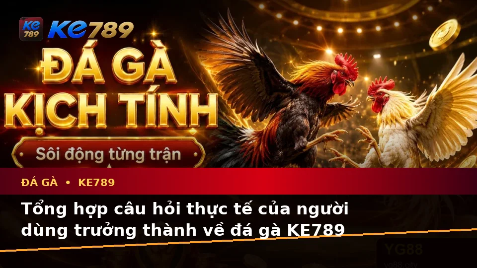 Đá Gà Trực Tuyến Và Quản Lý Phiên Chơi KE789: Tổng Hợp Câu Hỏi Thực Tế Của Người Dùng Trưởng Thành Trên ke789pg.us.com