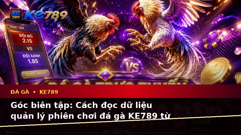 Đá Gà Trực Tuyến Và Quản Lý Phiên Chơi KE789: Tổng Hợp Câu Hỏi Thực Tế Của Người Dùng Trưởng Thành Trên ke789pg.us.com