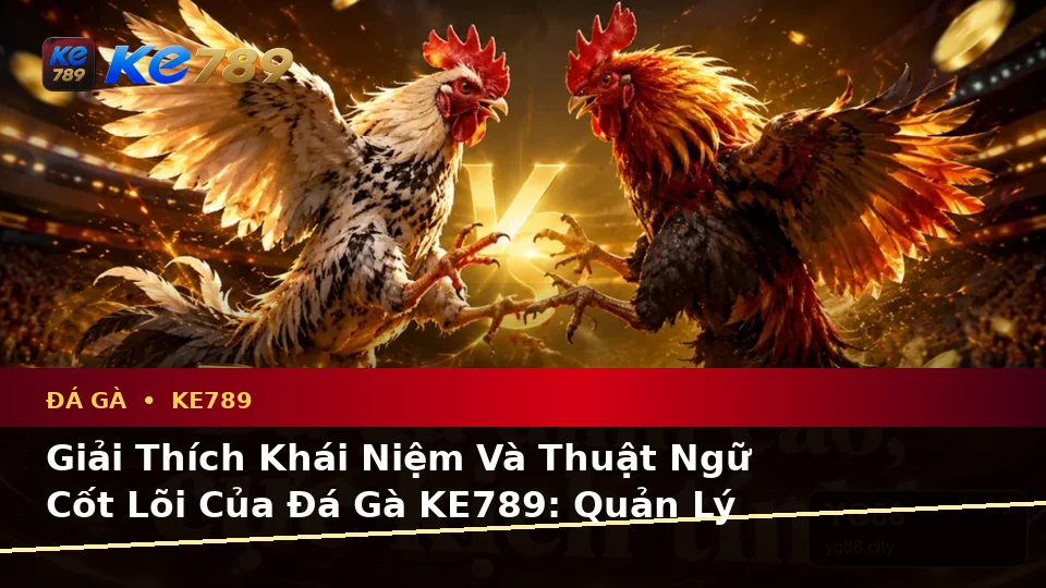 Giải Thích Khái Niệm Và Thuật Ngữ Cốt Lõi Của Đá Gà KE789: Quản Lý Phiên Chơi Trực Tuyến Tại ke789pg.us.com