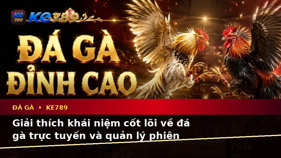 Giải Thích Khái Niệm Và Thuật Ngữ Cốt Lõi Của Đá Gà KE789: Quản Lý Phiên Chơi Trực Tuyến Tại ke789pg.us.com