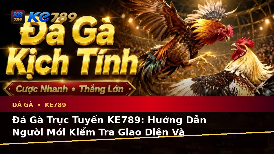 Đá Gà Trực Tuyến KE789: Hướng Dẫn Người Mới Kiểm Tra Giao Diện Và Thông Tin Phiên Chơi Theo Dữ Liệu Cập Nhật Tại ke789pg.us.com