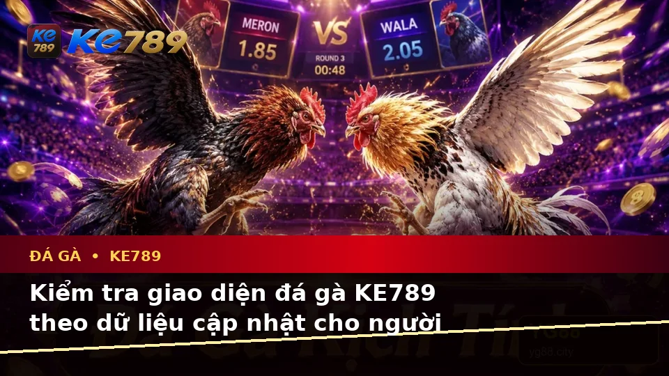 Đá Gà Trực Tuyến KE789: Hướng Dẫn Người Mới Kiểm Tra Giao Diện Và Thông Tin Phiên Chơi Theo Dữ Liệu Cập Nhật Tại ke789pg.us.com