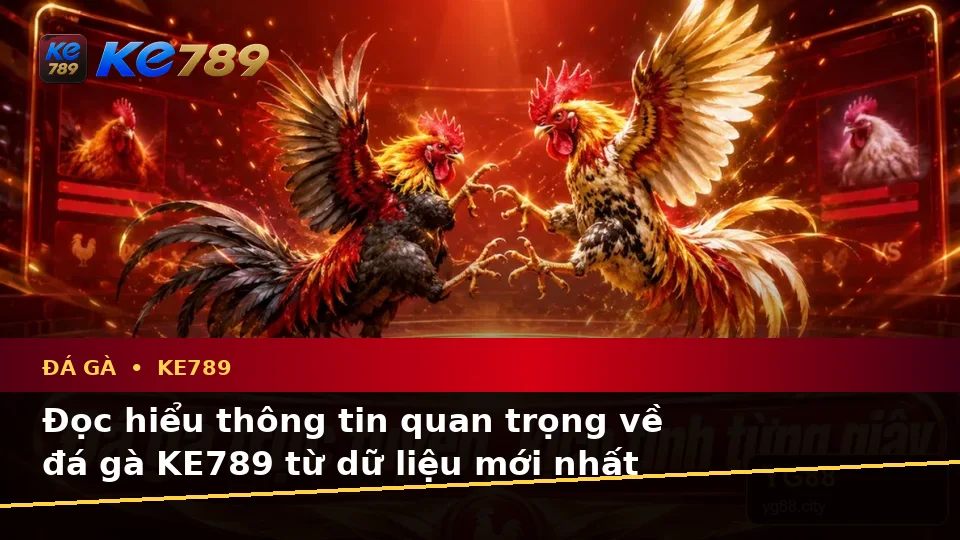 Đá Gà Trực Tuyến KE789: Hướng Dẫn Người Mới Kiểm Tra Giao Diện Và Thông Tin Phiên Chơi Theo Dữ Liệu Cập Nhật Tại ke789pg.us.com