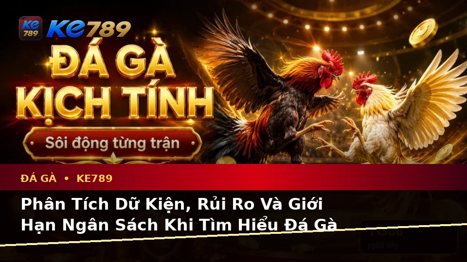 Phân Tích Dữ Kiện, Rủi Ro Và Giới Hạn Ngân Sách Khi Tìm Hiểu Đá Gà KE789: Quản Lý Phiên Chơi Trực Tuyến Tại ke789pg.us.com