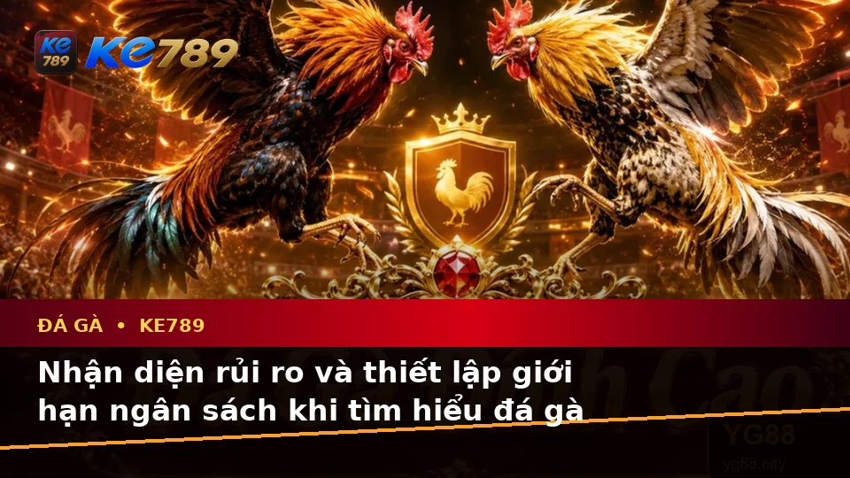 Phân Tích Dữ Kiện, Rủi Ro Và Giới Hạn Ngân Sách Khi Tìm Hiểu Đá Gà KE789: Quản Lý Phiên Chơi Trực Tuyến Tại ke789pg.us.com