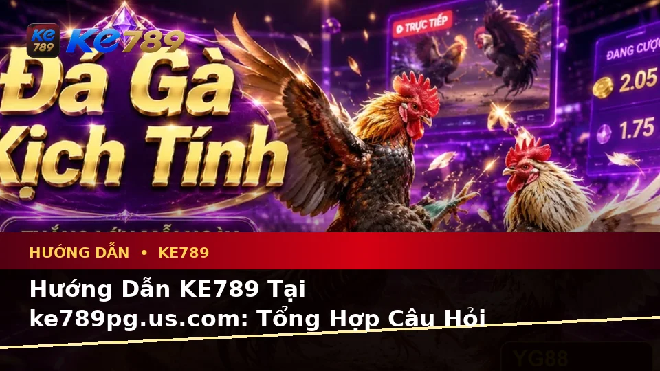 Hướng Dẫn KE789 Tại ke789pg.us.com: Tổng Hợp Câu Hỏi Thực Tế Của Người Dùng Về Tin Mới, Ưu Đãi Và Điều Kiện Khuyến Mãi